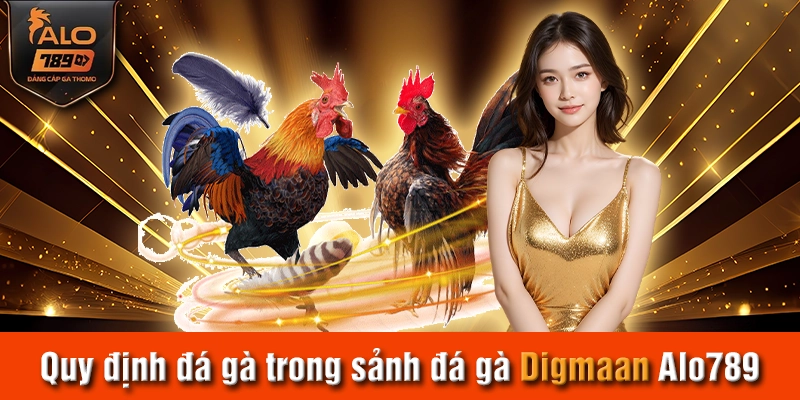 Quy định đá gà trong sảnh đá gà Digmaan Alo789